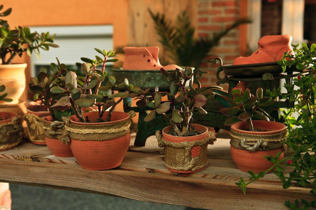 La Villa Pergola Szentgotthárd Dış mekan fotoğraf